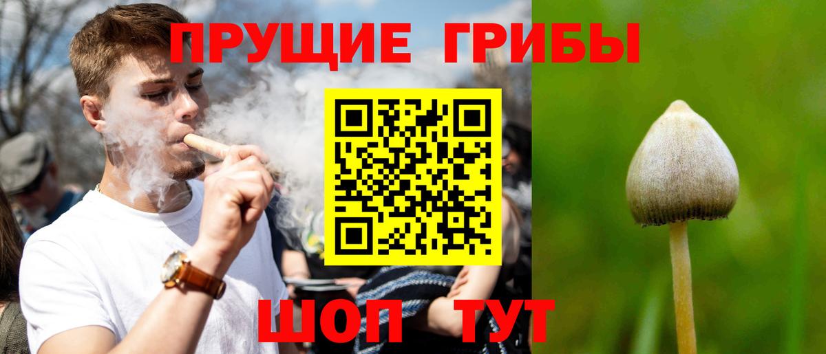 Псилоцибиновые грибы прущие грибы  Вход с VPN  Казань 